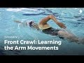 Swimming Techniques: Arm Movements | Front Crawl