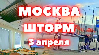 Шторм в Москве стал причиной гибели людей