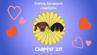 Starbox Dachshunds Compilation Chapter 219