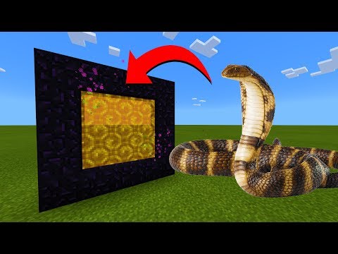 How To Make A Portal To The Cobra Dimension in Minecraft!
