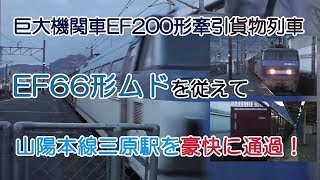 巨大機関車EF200形牽引貨物列車 山陽本線三原駅を豪快に通過！