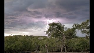 Storm Blowing in through Spring Branch