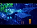 Deep Sleep Rain Sounds on Tin Roof | Peaceful Night Ambience with Frogs and Crickets