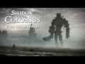 Shadow of the Colossus World Record History