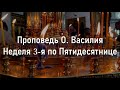 💬 Неделя 3-я по Пятидесятнице: Проповедь о.Василия в храме Московских Святых в Бибиреве (25.06.2023)