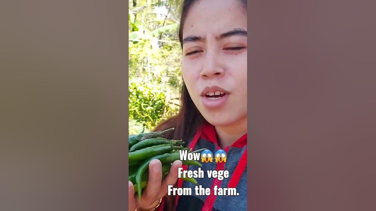 from-the-farm-to-the-kitchen-be-healthy-so-eat-vege-youtube