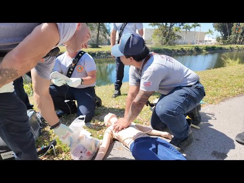 Mdfr Team Fishel