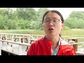 Dr ling liu describes her connected everything placement