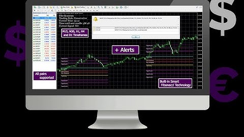 Fibo Quantum Review-Fibo Quantum Demo-Fibo Quantum Sales Video