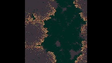 Forest fire simulation - a nonergodic four state interacting particle system
