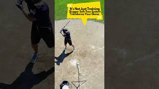 Celebrity Cracking the Code - Elevating Your Batting Average #battingskills Wealth