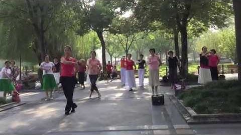 【舞清心】玉茗花開(清心&上海松江湖畔慧舞飛揚舞隊)-古典舞/廣場舞@中央公園