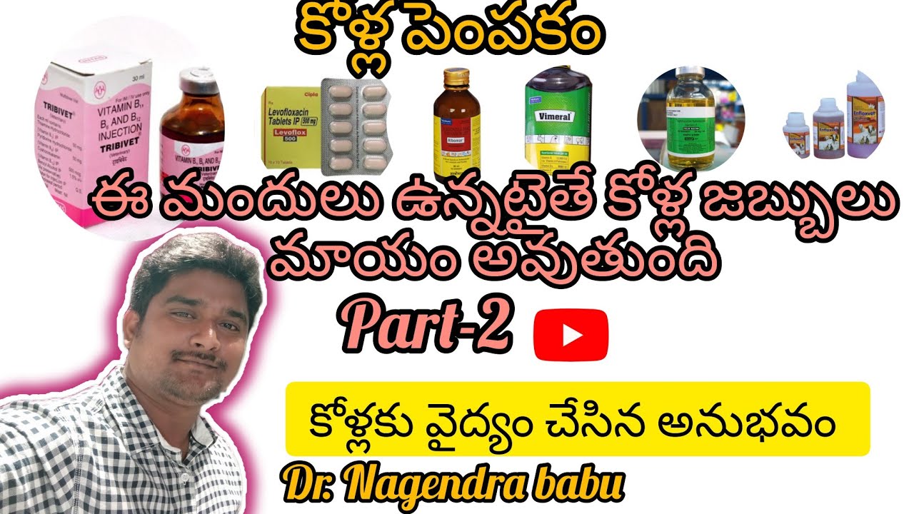 పెరటి కోళ్ల పెంపకంకోళ్లకి వచ్చే వ్యాధులు,ఉండవలసిన అత్యవసర మందులు/medicine to be in poultry farm