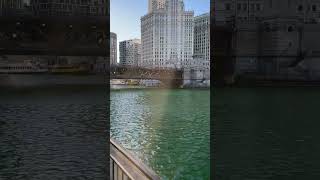 Chicago Green River for St. Patrick’s Day 🍀🍀
