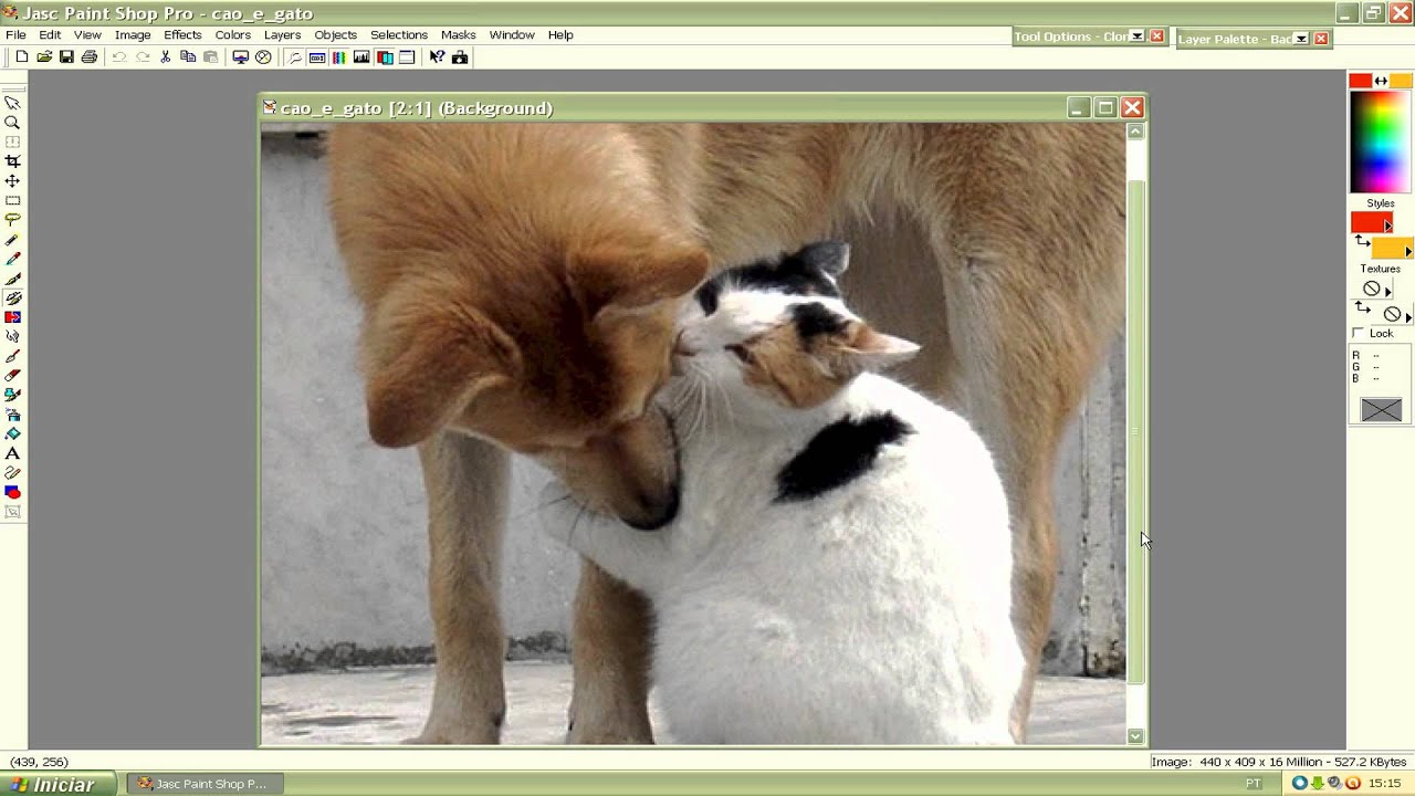 Paint Shop Proferramenta clone brush YouTube