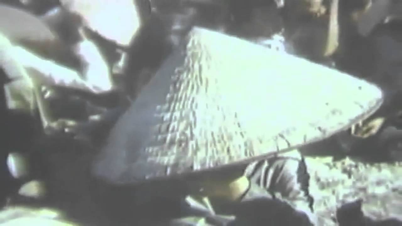 Vietnam War "Operation Delaware" (1st Air Cavalry Division), I Corps Area, 5/1968 (full)