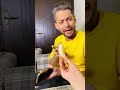 Salman Noman Ko Farmaish karni Mehangi Par Gayi #Shorts