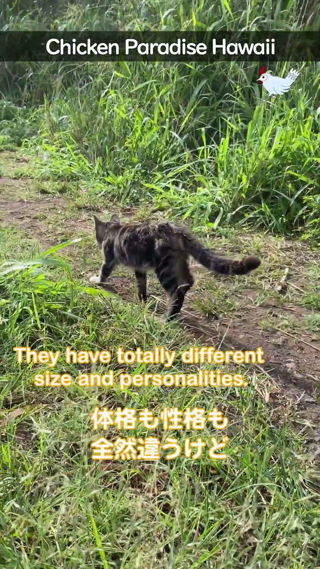 Husk and Fukumaru, growing well