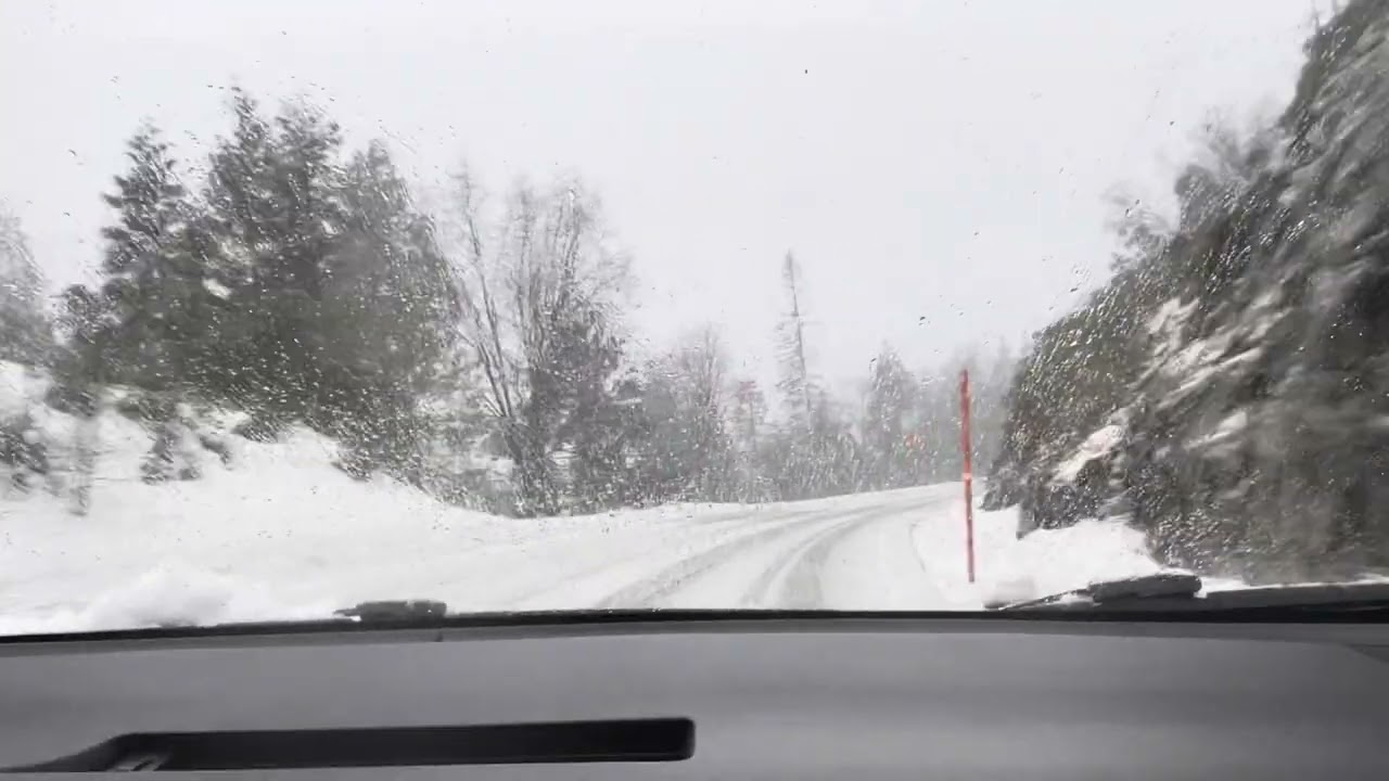 Moog Zoo Koj- Cover by Chu KZ (Original by Dang Thao)