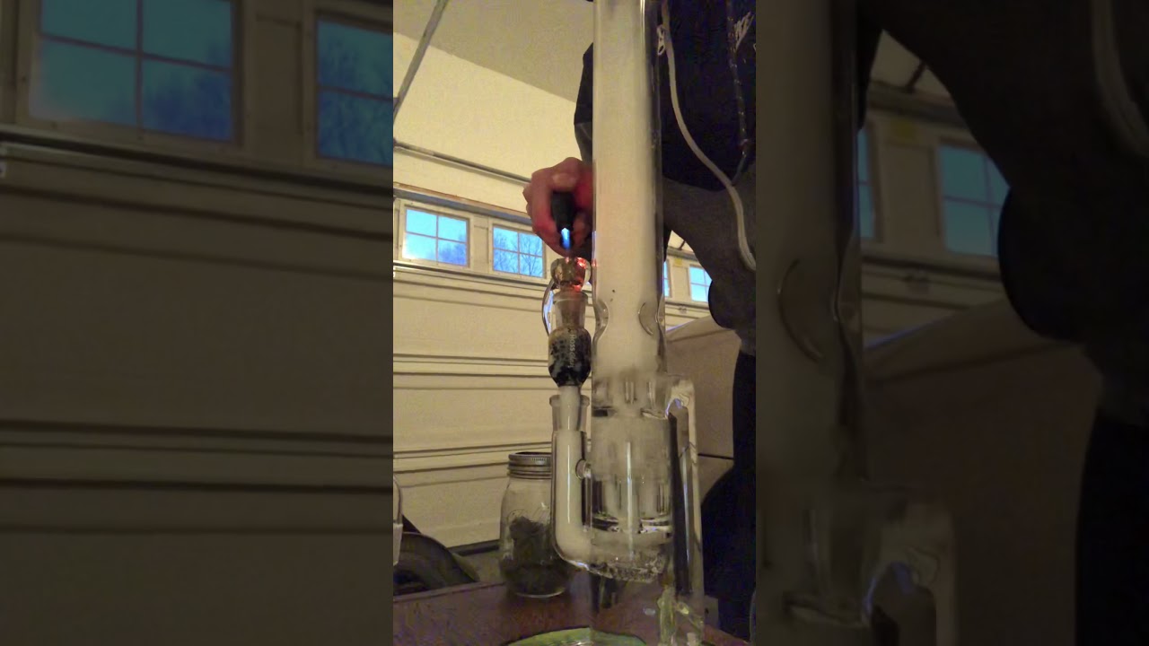 19 inch Sovereignty Glass 50x5 Treecycler (3-Line to Inv4-Inv4)