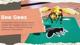 Learn about honey bee using Augmented Reality