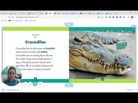 Reading assignment Instructions Video