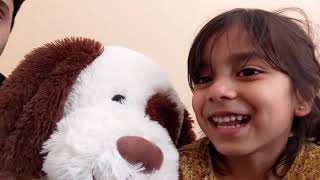 Zena, Doggie Teacher Quiz each other