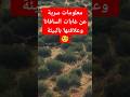 معلومات سرية عن غابات السافانا وعلاقتها بالبيئة Shortvideo Shorts Youtube Viralvideo معلومات سرية عن غابات السافانا وعلاقتها بالبيئة Shortvideo Shorts Youtube Viralvideo