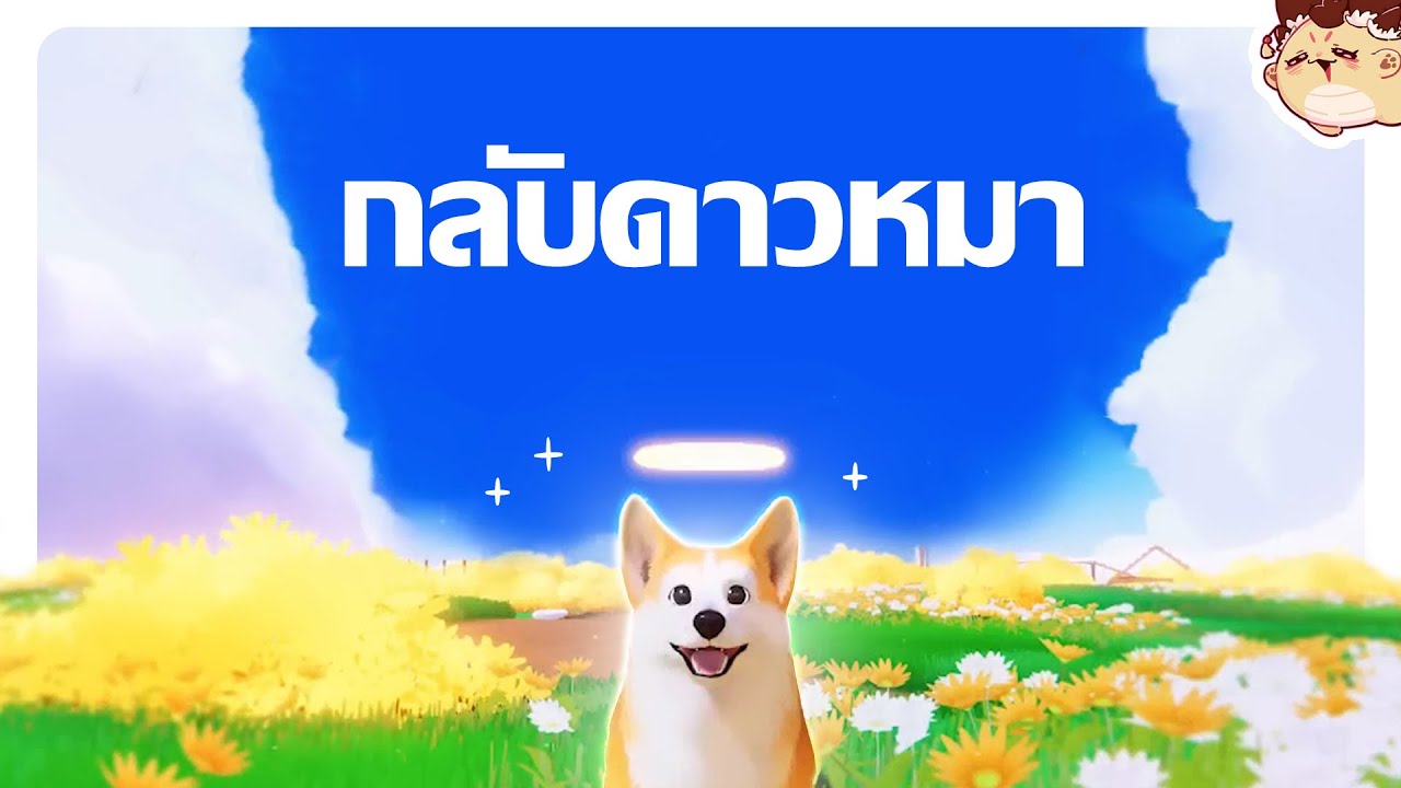 น่ารักฮิลใจ แต่ทำไมแอบน้ำตาซึม | My Little Puppy DEMO