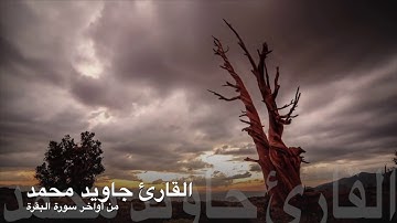 تلاوة عطرة أواخر سورة البقرة بصوت القارئ ||جاويد محمد||