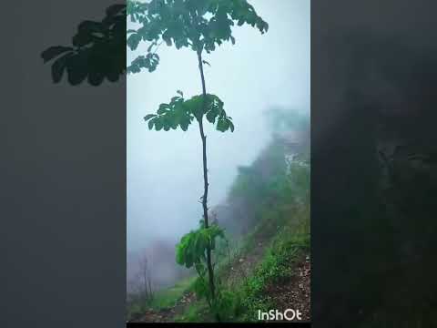 وإذا ترى الجبل الأشم مناطحا قمم السحاب فسله من أرساك اكسبلور ايقنت تيك توك فن لايك ترند