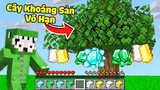 Minecraft Bedwars, Trồng Cây Được Kim Cương Và Đồ Vip Vô Hạn Troll Noob Team