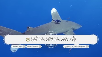 سورة الصافات بصوت القارئ عبدالرحمن امين الجباري