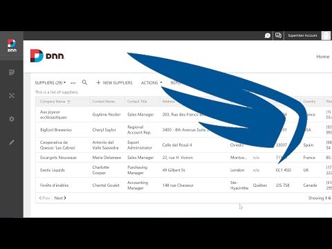 DotNetNuke Connector: Data Presentation in the Portal