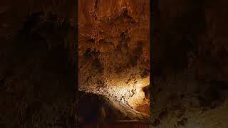 Nature Is My Therapist. Whats Yours?