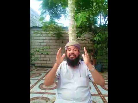 قصيدة مزلزلة للشاعر المخضرم أبو حمدي بعنوان دخلني خوف