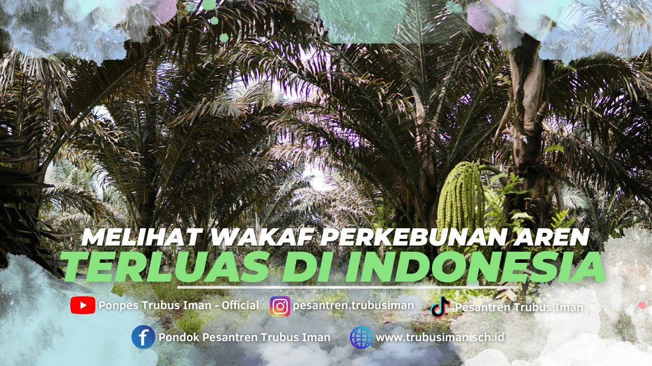 Melihat Wakaf Perkebunan Aren Terluas di Indonesia | Trubus Sentra Agribisnis | Part 1
