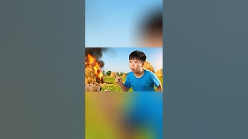 Buổi trưa hè của anh em Capy #capybara #capybarayeunoi #ongbavaboss #vuive