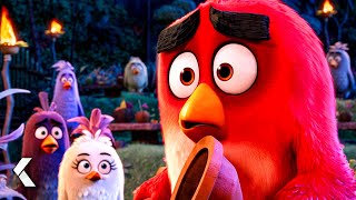 Bird House Destroyed By The Pigs - THE ANGRY BIRDS MOVIE