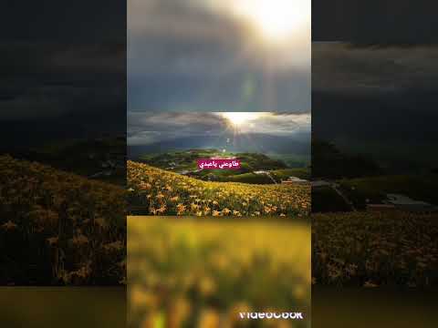 طاوعني ياعبدي