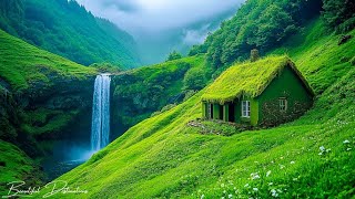 : Beautiful Relaxing Music for Stress Relief - Calming Music - Meditation, Relaxation, Sleep, Spa