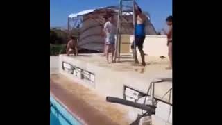 Dive Directed By Robert Weide