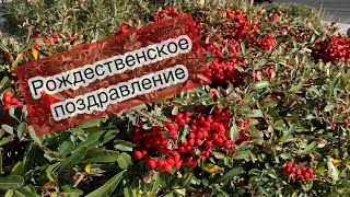 Рождественское поздравление