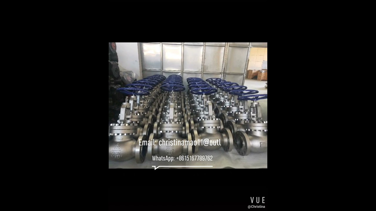 Stainless Steel Flanged Globe Valve With High Quality