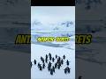 Antarctic Secrets #shorts