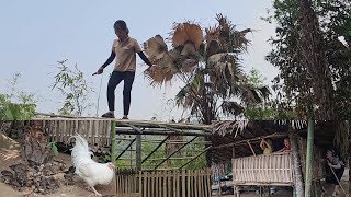 Building a New Home for the Chicks After the Mysterious Fire Incident at the Chicken Coop