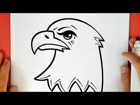 HOW TO DRAW A BALD EAGLE