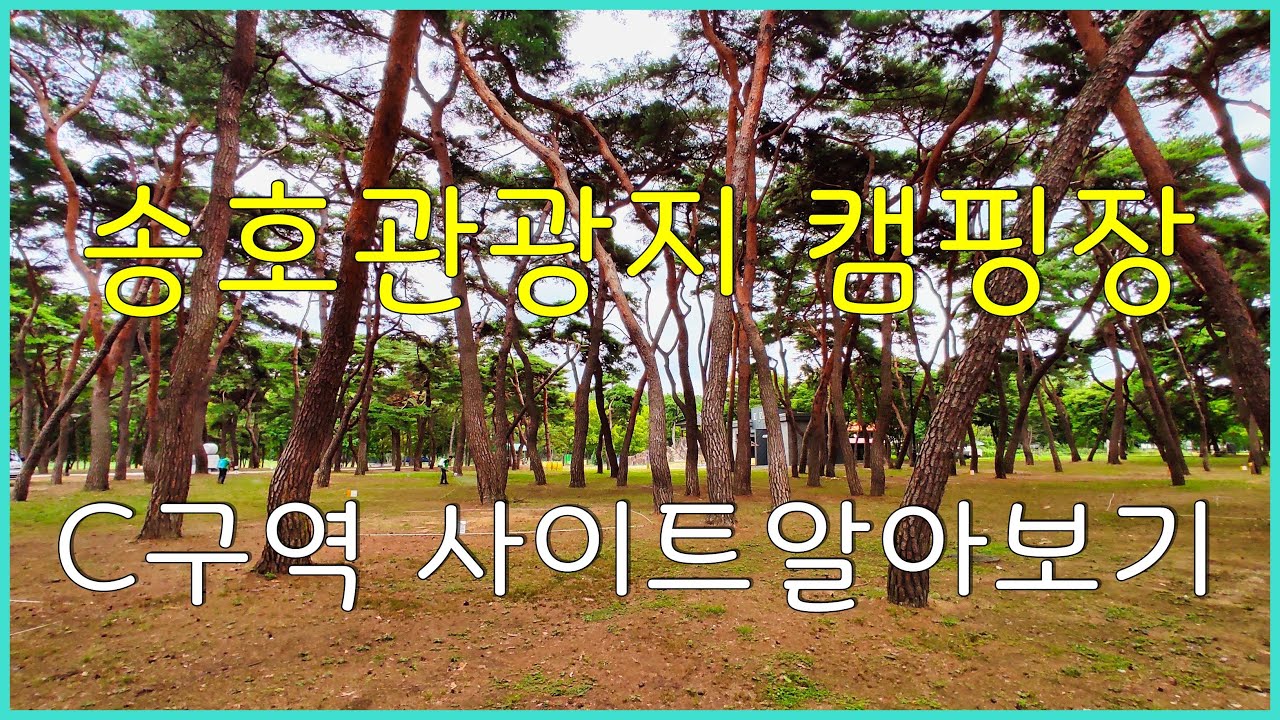 송호관광지 캠핑장 C구역 사이트 알아보기(지자체)