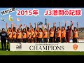 【再開決定特別公開】2015年 レノファ山口J3 激闘の記録
