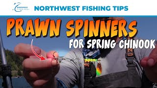 Prawn Spinners for Spring Chinook | Northwest Fishing Tips screenshot 1